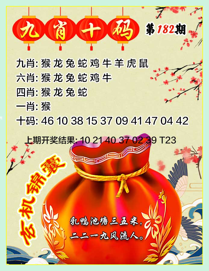 九肖十码