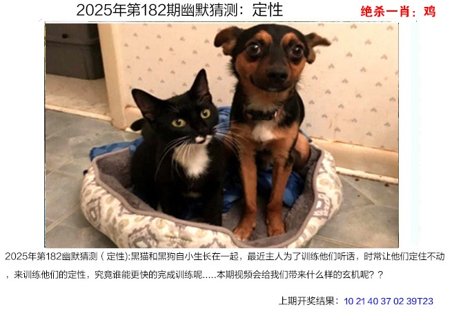 幽默猜测